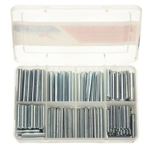 ITW BEE LEITZKE WWG-DISP-SP170 Spring Pin Assortment, 170 Pieces | AE2YWW 5A197