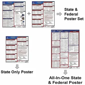 JJ KELLER 300-IA-1 Labor Law Poster Federal / State IA ENG 26 Inch Height 1 Year | AH6QEK 36EP52