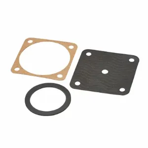 JOHNSON CONTROLS DPM17A-601R Diaphragm Kit For Use With A-4400 | AF6YZU 20RF99