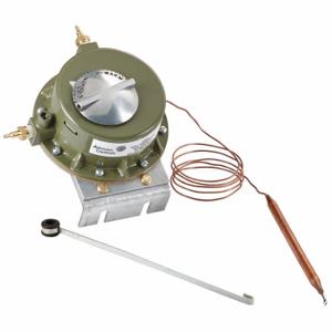 JOHNSON CONTROLS T-3300-1 Pneumatischer Thermostat, Fernfühler, Dual-Temp | CR6AXC 38Y128