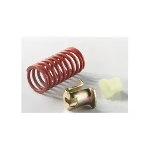 JOHNSON CONTROLS V-9999-6001 Spring Kit | CR6BCN 42D322