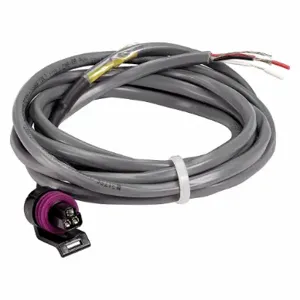 JOHNSON CONTROLS WHA-P399-200C Wiring Harness 6-1/2 Feet | AD3MXH 40G462