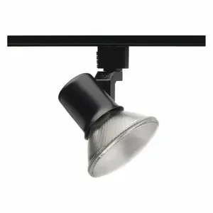 JUNO LIGHTING GROUP R541 BL Track Lighting Head, Incandescent, Black, 50 W Max Watt, 2 1/8 Inch Dia | CR6BVQ 45DM30