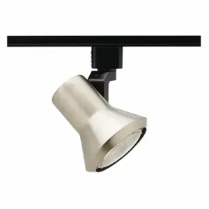 JUNO LIGHTING GROUP R551 SC Track Lighting Head, Incandescent, Silver, 50 W Max Watt, 3 1/2 Inch Dia | CR6BWD 45DM20