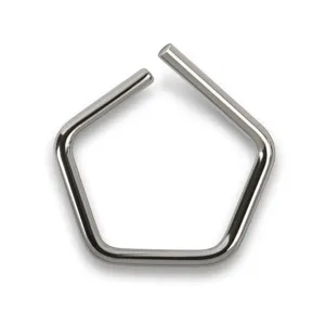 KERN AND SOHN 308-33 Test Weight, 5mg, Polished Stainless Steel | CE8EYX