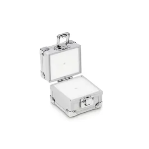 KERN AND SOHN 317-020-600 Aluminum Weight Case, Individual Weight, 2g | CE8FGE