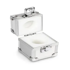 KERN AND SOHN 317-090-600 Aluminum Weight Case, Individual Weight, 500g | CE8FHK