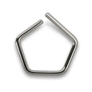 KERN AND SOHN 318-33 Test Weight, 5mg, Polished Stainless Steel | CJ6YRD