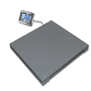 KERN AND SOHN BFA 3T-3NM Floor Scale | CE8HJW