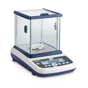 KERN AND SOHN EWJ 300-3H Compact Laboratory Balance, 300g Max. Weighing, 0.001g Readability | CE8JMH