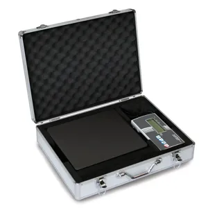 KERN AND SOHN MPB 300K100 Personal Floor Scale, 300Kg Max. Weighing, 100g Readability | CE8KMT