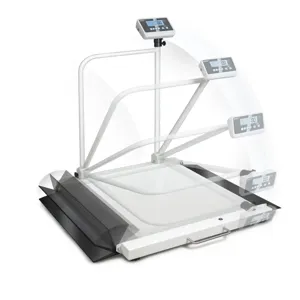 KERN AND SOHN MWA 300K-1PM Wheelchair Platform Scale, 300Kg Max. Weighing, 100g Readability | CE8KPB