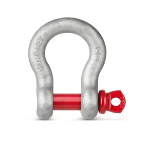 KERN AND SOHN YSC-04 Crane Scale Shackle | CJ7AGZ