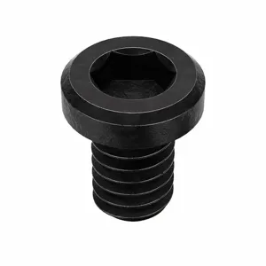 KERR LAKESIDE 8C25KCS Socket Cap Screw, Standard, 8-32 Thread Size, 1/4 Inch Length, 100Pk | AE4QNE 5MHZ3