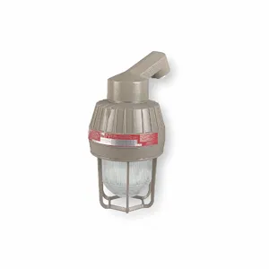 KILLARK EMS151D4G High Pressure Sodium Fixture With AF9JQD | AF3AUB 7AA34