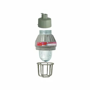 KILLARK EMI20A2G Incandescent Light Fixture With AF9JQA | AF3ACN 7A0W8