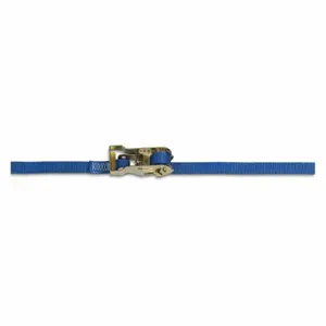 KINEDYNE 711087-4PKGRA Tie Down Strap, 10 ft Cargo Tie Down Length, 1 Inch Cargo Tie Down Width | CR6QWZ 48PX28