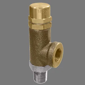 KINGSTON VALVES 103D-2-000 Side Relief Valve, 1/4 Inch Size, 5-1000 Psi, Non Code, Stainless Ball and Seat | CE7AXB