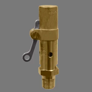 KINGSTON VALVES 119CSS-6-000 Pop Safety Valve, 1 Inch Size, 25-300 Psi, UV NB, Hard Seat, High Capacity | CE7AUK