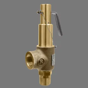 KINGSTON VALVES 710D46S1K Safety Relief valve, 1/2 x 1 Inch Size, Air/Gas with Lever | CE7AVM