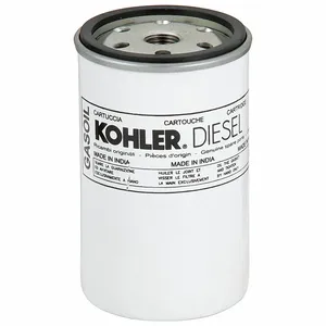 KOHLER ED0021752860S Fuel Filter | CF2DDD 40LZ71