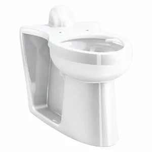 KOHLER K-25044-SSL-0 Elongated, Floor, Flushometer Single Flush, Toilet Bowl | CF2JCP 56EE36