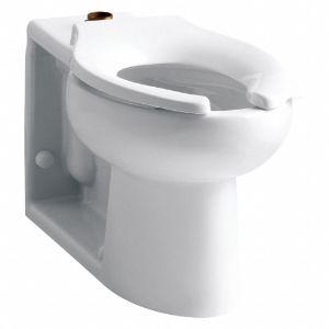 KOHLER K-4386-0 Elongated, Floor, Top Spud Dual Flush Valve, Toilet Bowl, 1.6 Gallon per Flush | CF2JBW 56EE26
