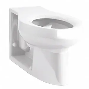 KOHLER K-4398-0 Elongated, Floor, Flush Valve, Toilet Bowl, 1.6 Gallon per Flush | CF2JCT 178T77