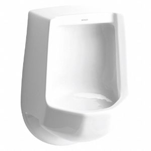 KOHLER K-4989-R-0 Glasporzellan, weiß, Siphon-Jet-Urinal, Wand, Rückseite | CE9CAZ 56EE45
