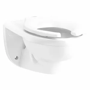 KOHLER K-84325-SSL-0 Elongated, Wall, Flush Valve, Toilet Bowl, 1.1 to 1.6 Gallon per Flush | CF2JBH 56FJ85