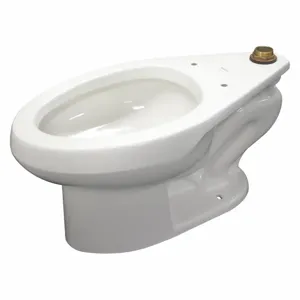 KOHLER K-96053 Elongated, Floor, Flush Valve, Toilet Bowl, 1.28 to 1.6 Gallon per Flush | CF2JCU 419X97