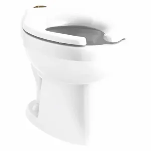 KOHLER K-96053-SS-0 Elongated, Floor, Flushometer Single Flush, Toilet Bowl | CF2JCJ 56EE31