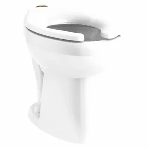 KOHLER K-96057-0 Elongated, Floor, Flush Valve, Toilet Bowl, 1.0/1.1/1.6 Gallon per Flush | CF2JCW 493J67