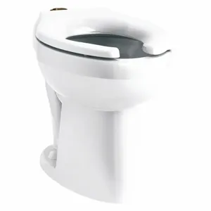 KOHLER K-96057-SS-0 Elongated, Floor, Flushometer Single Flush, Toilet Bowl | CF2JCG 56EE29