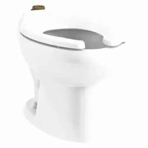 KOHLER K-96059-0 Elongated, Floor, Flushometer Single Flush, Toilet Bowl | CF2JCQ 56EE42