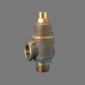 KUNKLE 0020-C01-MG0025 Safety Relief Valve, 1/2 Inch Inlet Size, 25 PSI, 316 Stainless Steel | CN2UNB 11336836