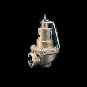 KUNKLE 0537-H01-HM Safety Relief Valve, 2 Inch Inlet X 2 1/2 Inch Outlet Size, Steam, Stainless Steel | CN2XVF 11322327