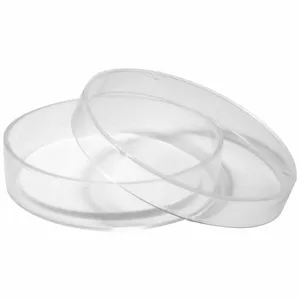 LAB SAFETY SUPPLY 12K974 Sterile Petri Dish With Cellulose Pad 55mm - Pack Of 100 | AA4FPW