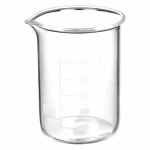 APPROVED VENDOR 5YGZ0 Beaker Low Form Glass 100ml - Pack Of 12 | AE7HDK