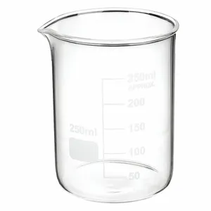 APPROVED VENDOR 5YGZ2 Beaker Low Form Glass 250ml - Pack Of 12 | AE7HDM