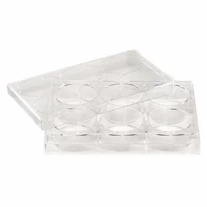 LAB SAFETY SUPPLY 667112 12 Well Tissue Culture Plate With Lid - Pack Of 50 | AA3HYC 11L794