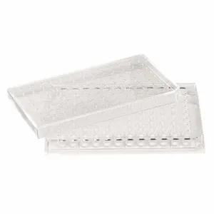 LAB SAFETY SUPPLY 667196 96 Well Tissue Culture Plate With Lid - Pack Of 50 | AA3HYF 11L797