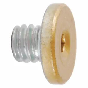 LCN 4040SE-31 BRASS Cover Screw, Brass | CR8NNU 46TZ17