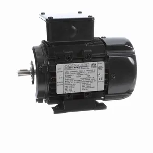 MARATHON MOTORS 063T34FH5302 R303 Metric Motor 50-60 Hertz | AJ2MPP 24ME10 / R303