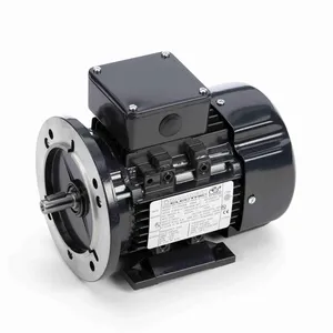 MARATHON MOTORS 071T17FH5508 R387 Metric Motor 50-60 Hertz | AJ2LYT 26VX64 / R387