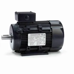 MARATHON MOTORS 090LT17FH6326 Metric Motor 230/460v Ball 60/50 Hz | AB7YQQ 24ME33 / R319A