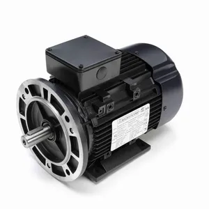 MARATHON MOTORS 090LT17FH6519 R398A Metric Motor 50-60 Hertz | AJ2LRJ 26VX74 / R398A