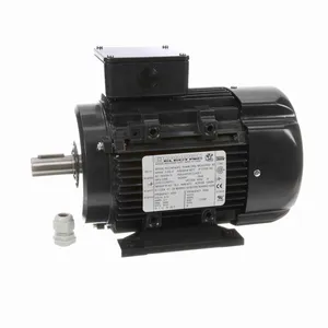 MARATHON MOTORS 090LT34FH6302 R421A Metric Motor | AJ2KVU 24ME91 / R421A