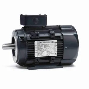 MARATHON MOTORS 090LT34FH6420 R379A Metric Motor 50-60 Hertz | AJ2MEZ 26VX39 / R379A