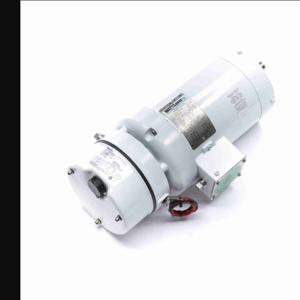 LEESON 122194.00 C145T17WC44A Washdown Motor | AJ2RPJ 48ZF21 / C145T17WC44A